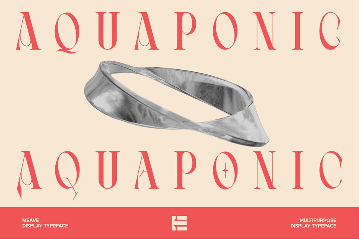 Meave, a Serif Font by Eotype Studio (Photo 6 of 12)