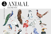 ANIMALS World Encyclopedia, an Animal Illustration by Anastezia Luneva (Thumbnail 7 of 14)