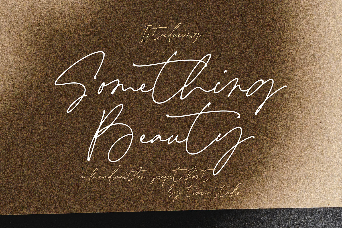 Something Beauty Font, a Handwritten Font by Timurtype (Photo 1 of 7)