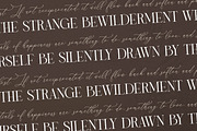 Storyline Regario Font Duo, a Serif Font by Storytype Studio (Thumbnail 6 of 15)