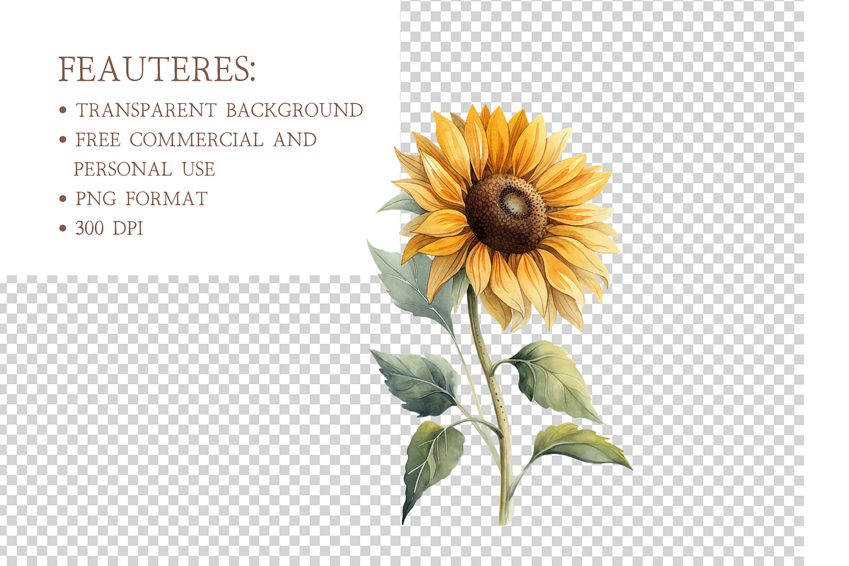 Watercolor Sunflower Clipart Bundle, an Illustration by MockupWizard (Photo 4 of 5)