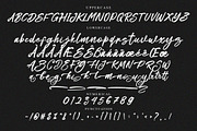 Moulidya Brush Script Font, a Script Font by NTC Graphic (Thumbnail 6 of 7)