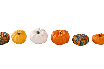 Gourds and Mini Pumpkins on White