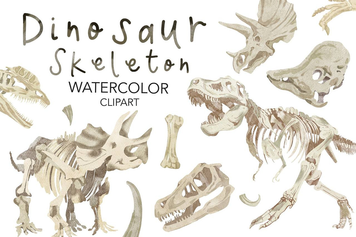 Dinosaur Skeleton Watercolor, an Animal Illustration by NKTKNS (Photo 1 of 6)