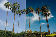 Tropical Presets for Lightroom, a Preset Add-On by Hubzway (Thumbnail 2 of 5)