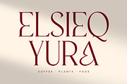CS Anthea – Elegant Serif Font, a Serif Font by Craft Supply Co. (Thumbnail 3 of 8)