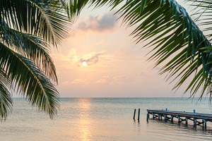 Tropical Sunrise Jetty, a Photo by THP Creative