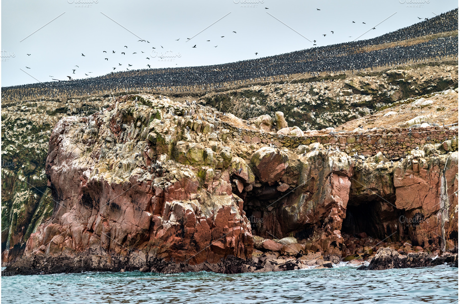 Landscape of the Ballestas Islands, a Nature Photo by Leonid Andronov