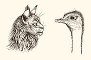 Hand Drawn Portraits of Animals, an Animal Illustration by Artspace (Thumbnail 4 of 4)