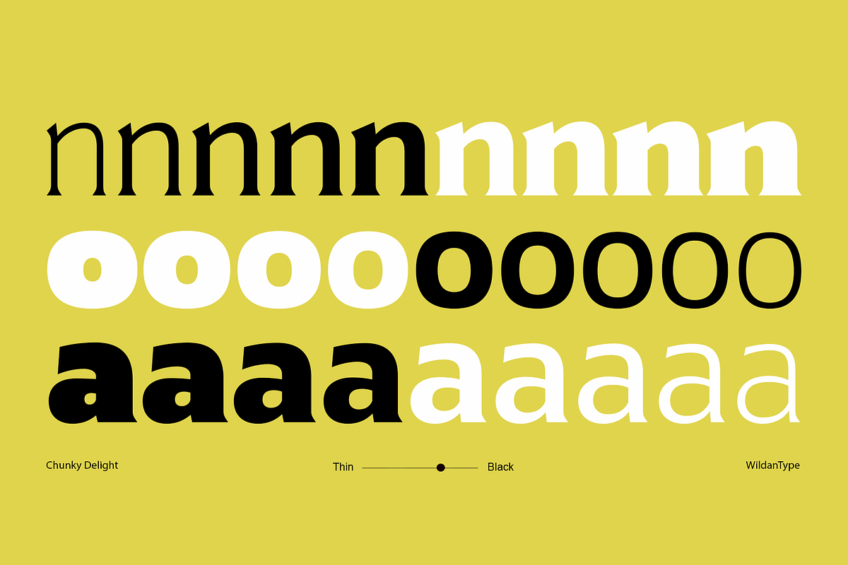Chunky Delight, a Serif Font by Wildan Type (Photo 3 of 10)