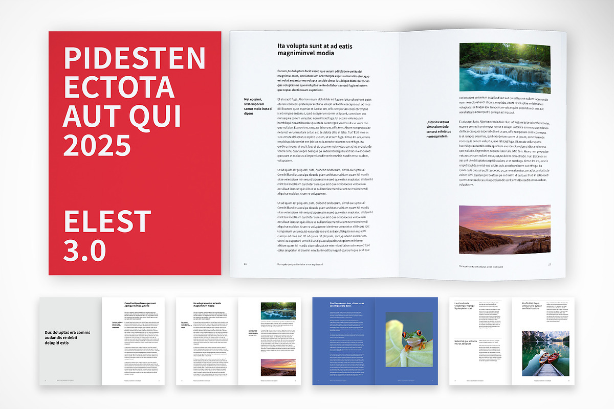 Marketing Brochure Template, a Print Template by McLittle Stock (Photo 1 of 6)