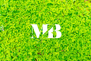 Minimalist Logo Kit, a Graphic by BeSouto (Thumbnail 7 of 8)