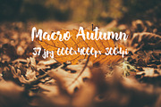 Macro Autumn photo bundle, a Templates & Theme by ApertureVintage (Thumbnail 1 of 21)