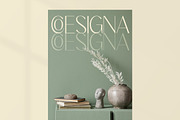 Adisan Richard Elegant Sans Serif, a Sans Serif Font by timelesstype.co (Thumbnail 11 of 15)