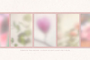 Through the Vellum - Backgrounds, a Background Graphic by Dina Mae (Thumbnail 7 of 13)
