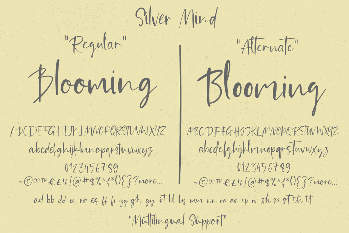 Silver Mind | Handlettered Font, a Script Font by Artstudio (Photo 10 of 10)