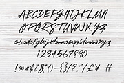 Riverdance Handwritten Font, a Script Font by Phil Marquet (Thumbnail 5 of 5)