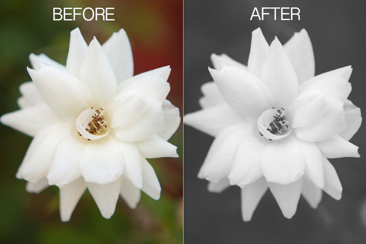 Filmtastic Photoshop Film Actions, an Action Add-On by Josh Johnson (Photo 5 of 5)