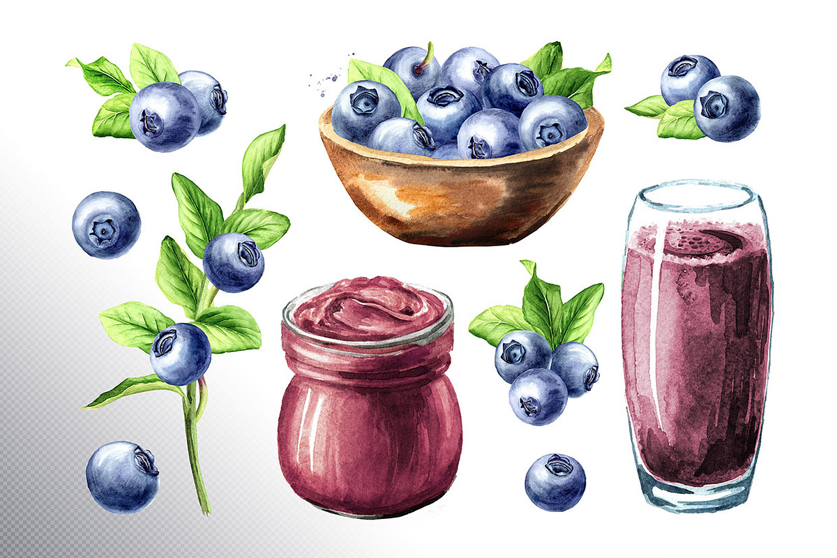 Blueberry. Watercolor collection, a Food Illustration by Daria Ustiugova (Photo 14 of 25)