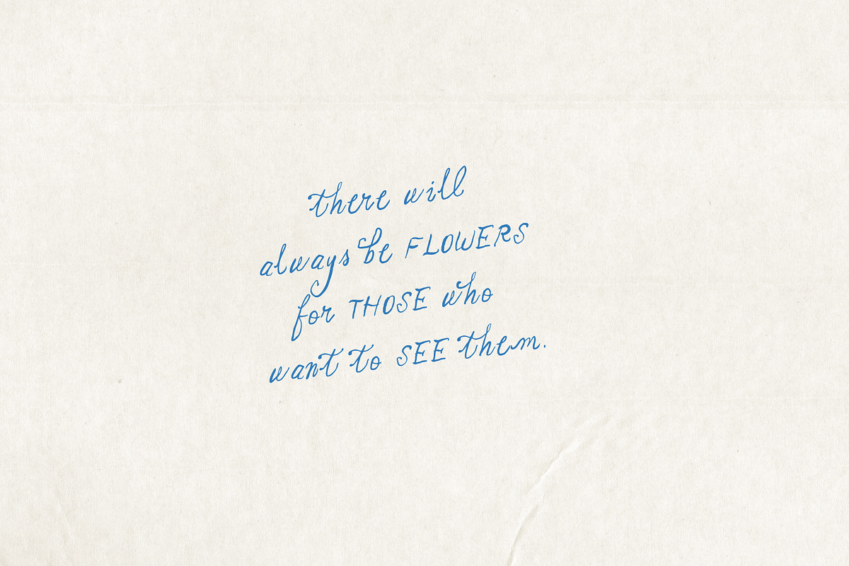 The Paper Cake Font Duo, a Handwritten Font by Nicky Laatz (Photo 21 of 22)