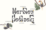 Grangeus - Creative Display Font, a Handwritten Font by Zeatype (Thumbnail 8 of 11)