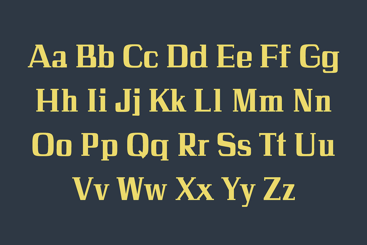 Calvin Slab Serif Font Family preview 2