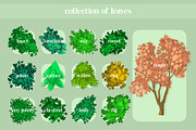 Complete Foliage Kit For Procreate, a Brush Add-On by BrushBoy (Thumbnail 4 of 7)