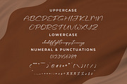 Ceesenetta, a Script Font by Integritype Studio (Thumbnail 9 of 15)