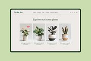 Home Plants, a Nature Photo by Typedreams.site (Thumbnail 7 of 9)
