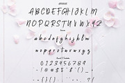 Cendana Brush, a Script Font by da_only_aan (Thumbnail 2 of 6)
