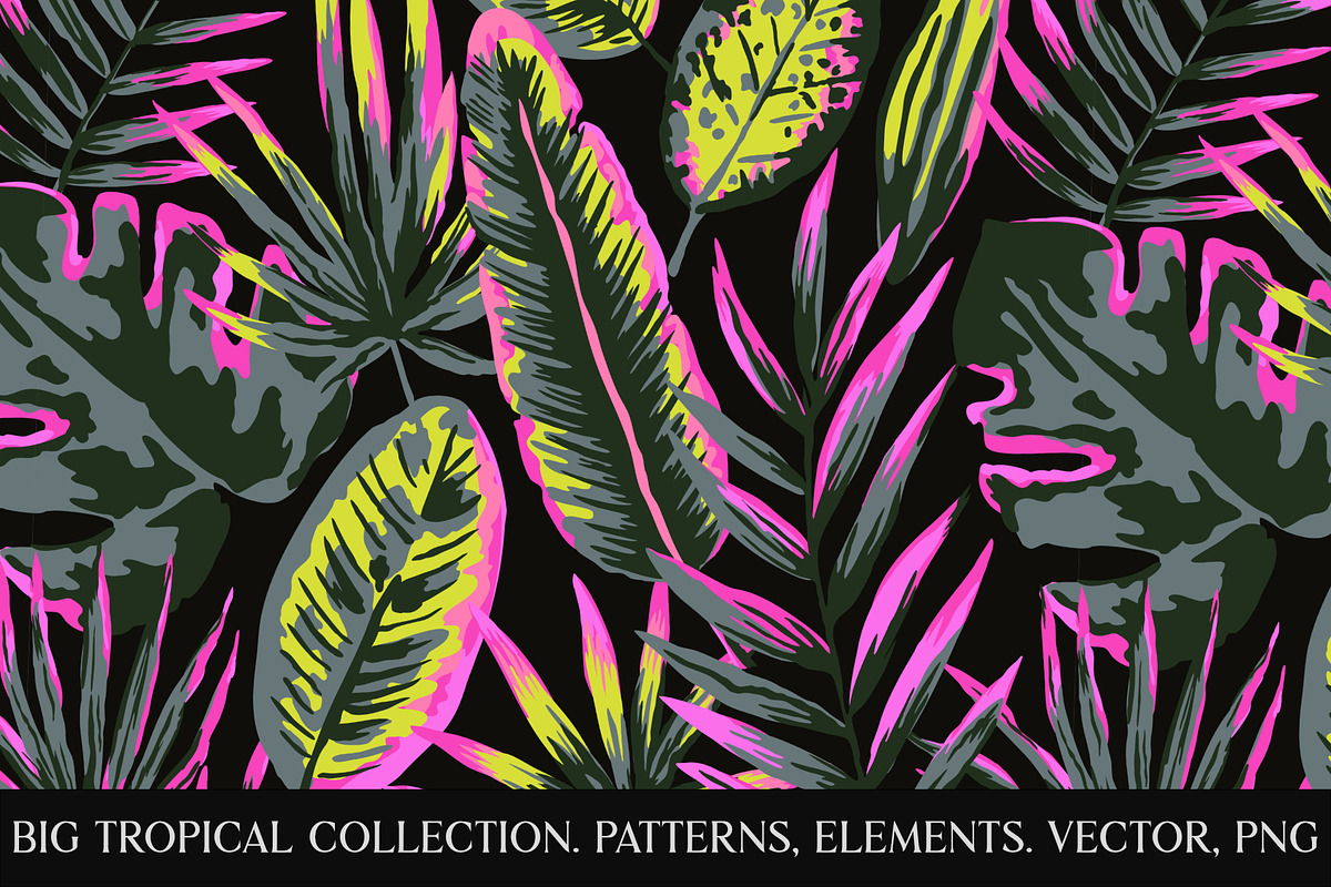 Neon tropical collection, a Pattern Graphic by Robusta (Photo 1 of 22)