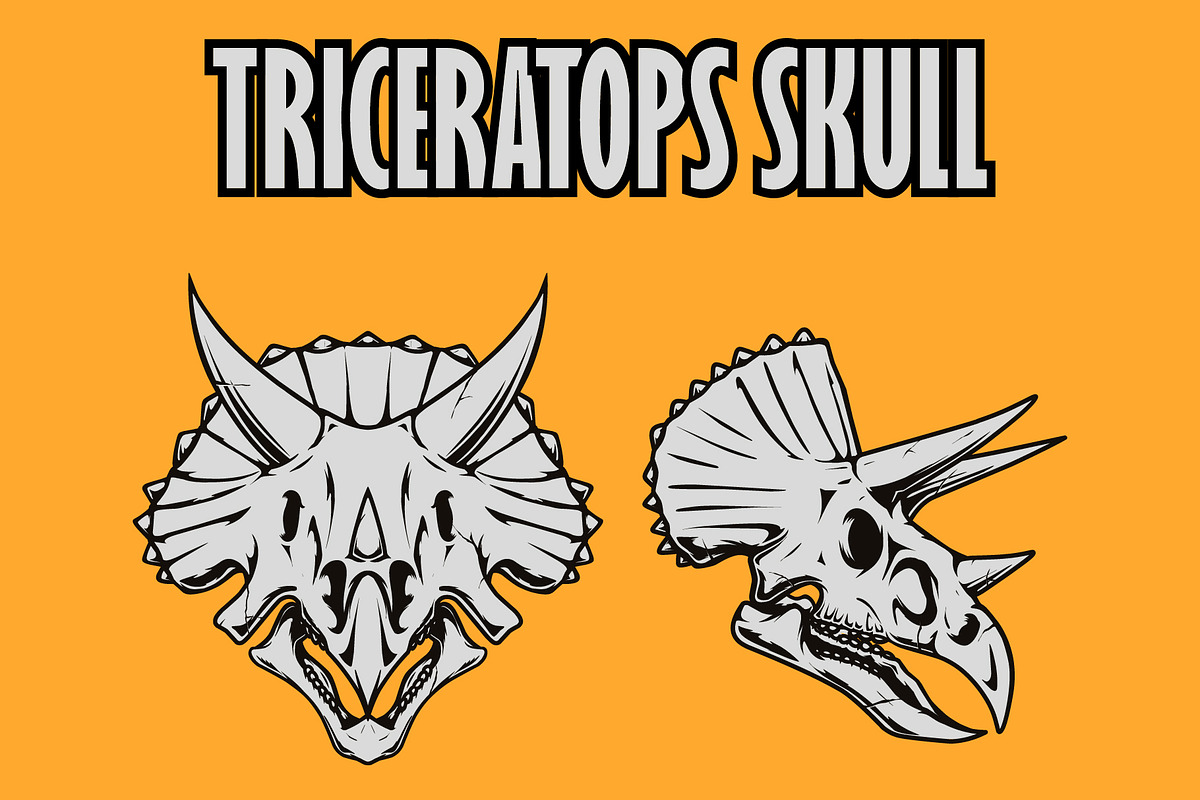 Triceratops skull, an Animal Illustration by VLSKA