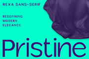 Rexa Sans-Serif Typeface, a Sans Serif Font by roomspace creative lab (Thumbnail 5 of 9)