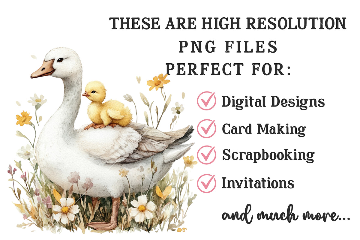 Watercolor Easter Goose Clipart, an Illustration by OK Design (Photo 5 of 6)