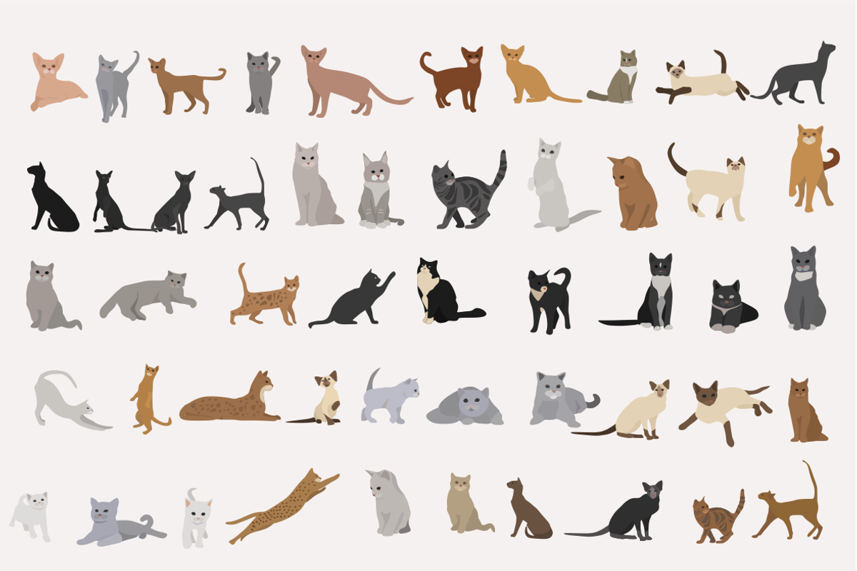 dogs and cats, favorite pets, an Animal Illustration by Yana_mide (Photo 3 of 7)