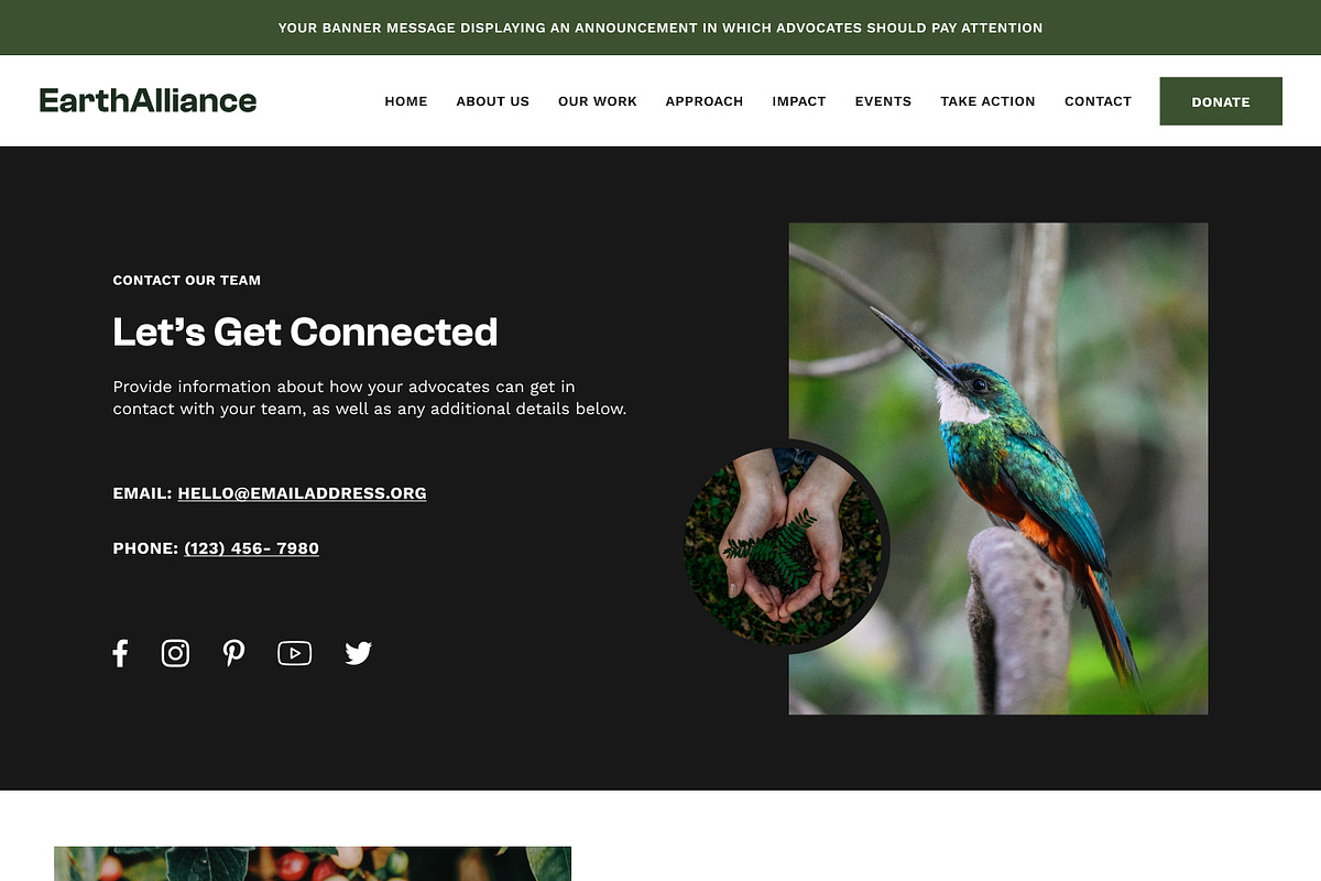 Environment Showit Website Template, a WordPress Template by Studio Humankind (Photo 15 of 20)