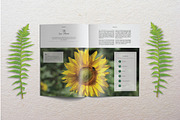 Portfolio Template Indesign Vol. 3, a Brochure Template by Tiempo co (Thumbnail 8 of 10)