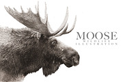 Moose Wildlife Illustration, an Illustration by Digital Art Downloads (Thumbnail 1 of 2)