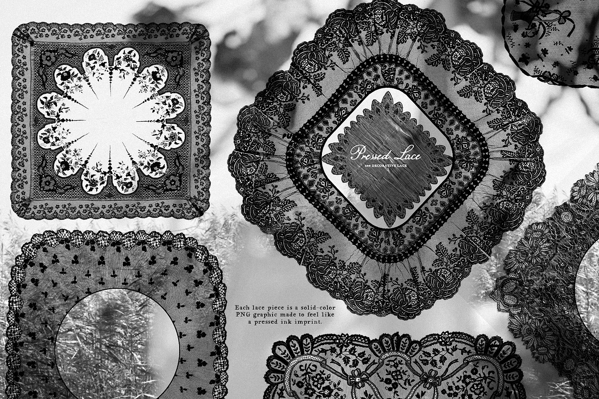 Pressed Lace Frames, a Texture Graphic by Purple (Photo 15 of 16)