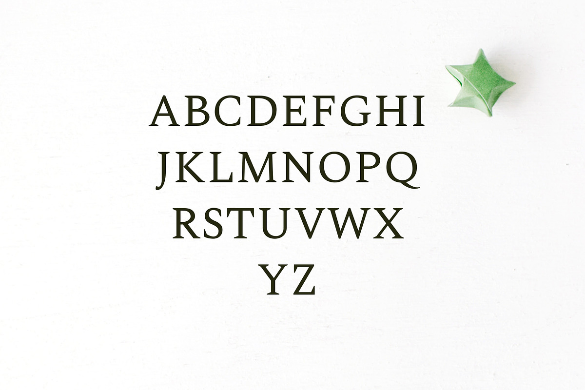 Ethan Serif 8 Font Family Pack preview 3