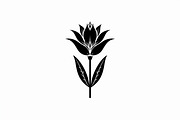 Black Floral Silhouette Set, an Illustration by balal (Thumbnail 10 of 21)