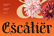 CS Meliora – Blackletter Font, a Blackletter Font by Craft Supply Co. (Thumbnail 7 of 8)