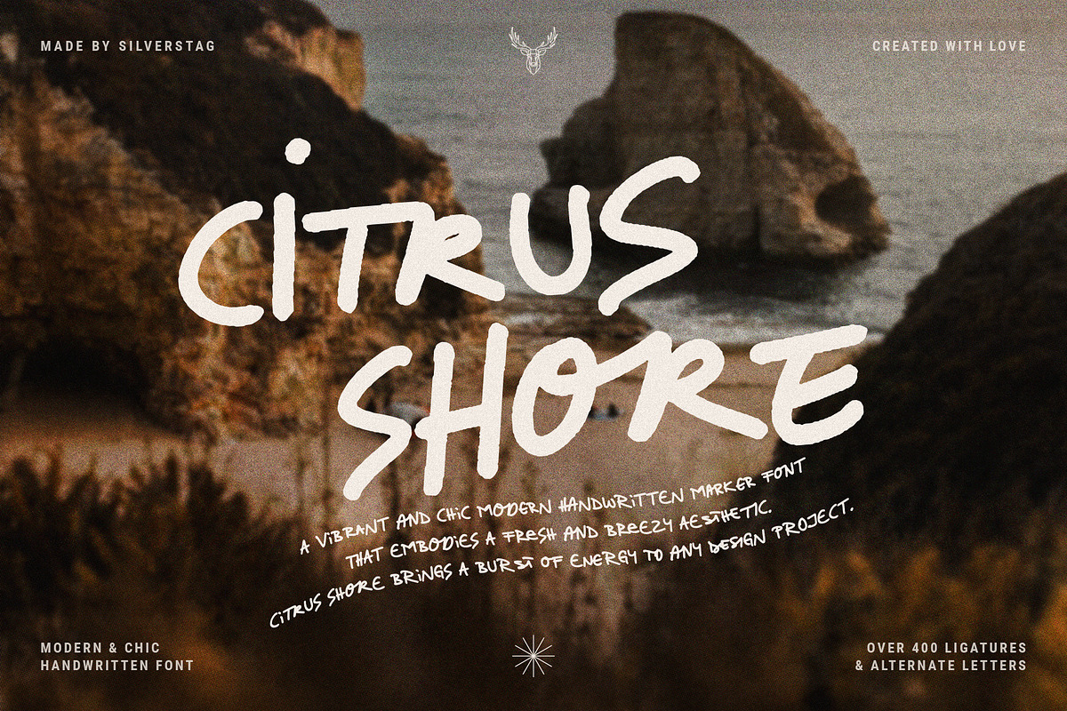 Citrus Shore - Playful Marker Font, a Handwritten Font by SilverStag Type Foundry (Photo 1 of 15)