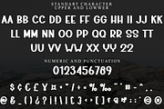 Modern Designer, a Script Font by FreshTypeINK (Thumbnail 3 of 8)