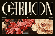 Chelion, a Serif Font by Eotype Studio (Thumbnail 1 of 9)
