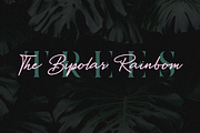 Paperlane - Organic hand-drawn font, a Script Font by Creative Zeune (Thumbnail 4 of 12)