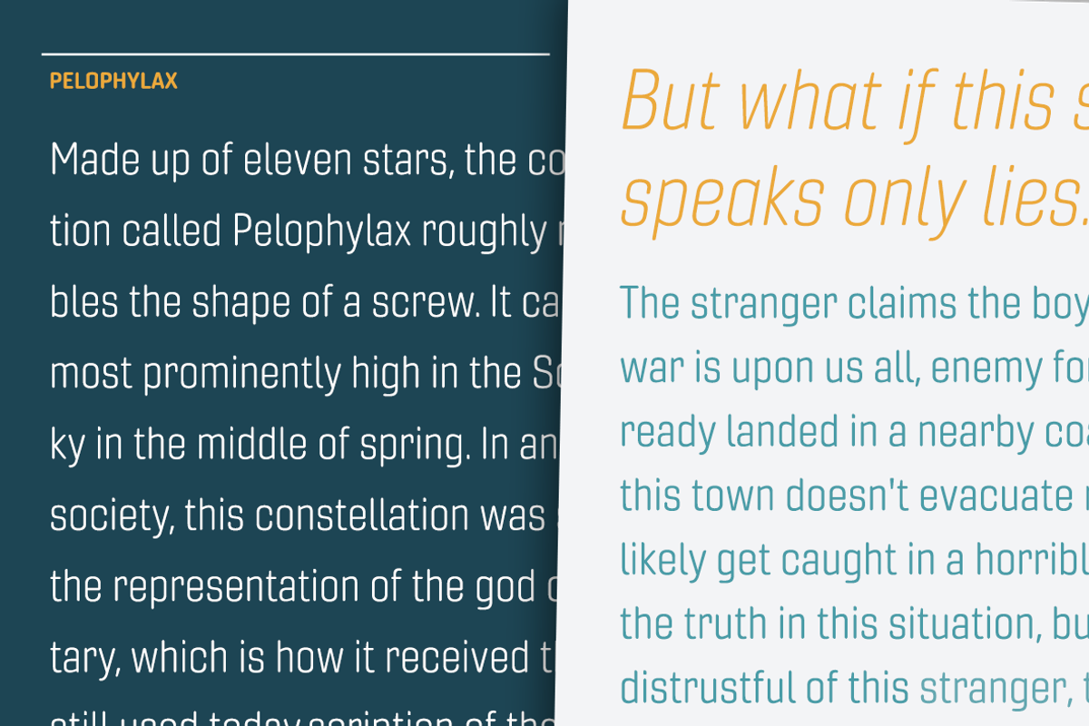 Gineso Soft, a Sans Serif Font by insigne (Photo 6 of 6)