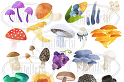 Watercolor Fungi A-Z Clipart, an Illustration by DigitalArtsi (Thumbnail 3 of 4)