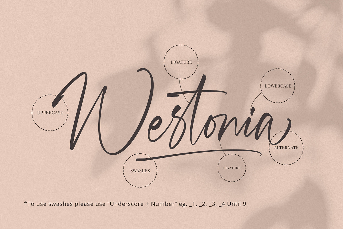 Westonia - Signature Font, a Script Font by Alpaprana (Photo 16 of 19)