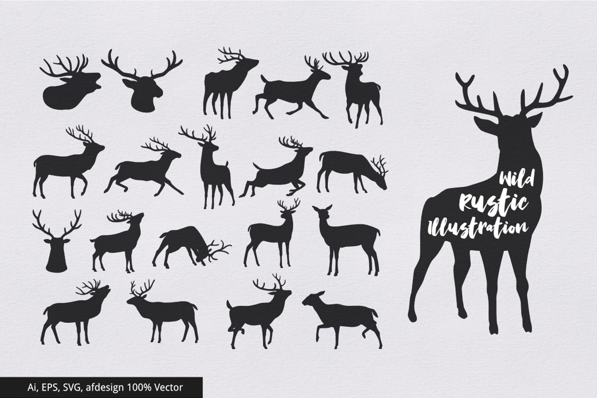 Wild Rustic Fonts and Illustrations, a Script Font by FabledHut (Photo 5 of 8)